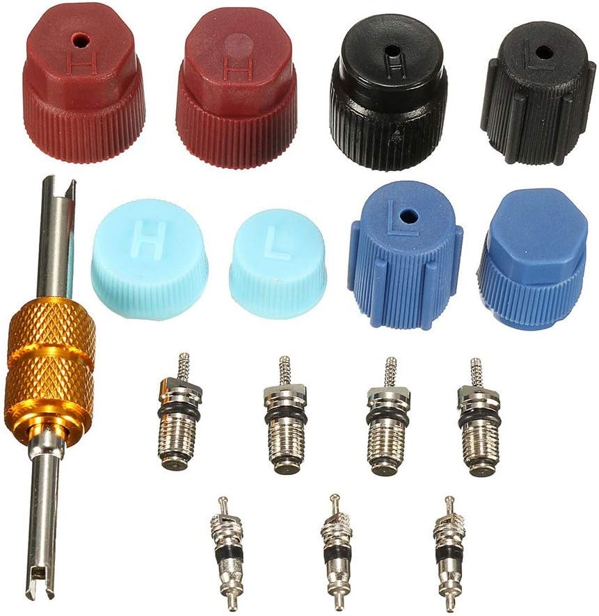 DGXIAKE Cap & Valve Cores Seal Kit for Air Conditioning Service A/C, Universal Auto Car O-Ring for Replacement Set 16Pcs