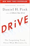 Drive: The Surprising Truth About What Motivates Us