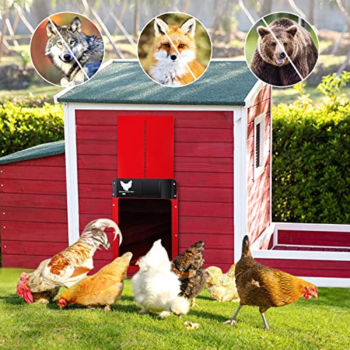 Automatic Chicken Coop Door, Dayimado Light Sensing Automatic Chicken
