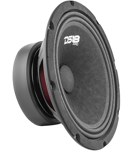 Amazon.com: DS18 PRO-ZXI8M 8