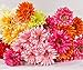 10 PCS Real Touch Latex Silk Artificial fake plastic Daisy Chrysanthemum Flowers Sun Chrysanthemum,Sunflower, Simulation Gerber, Dimorphotheca,Party Room home Decoration DIY Flower Bouquet (pink)