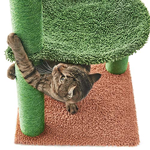 Catinsider 35 Inches Cactus Cat Tree with Hammock and Full Wrapped
