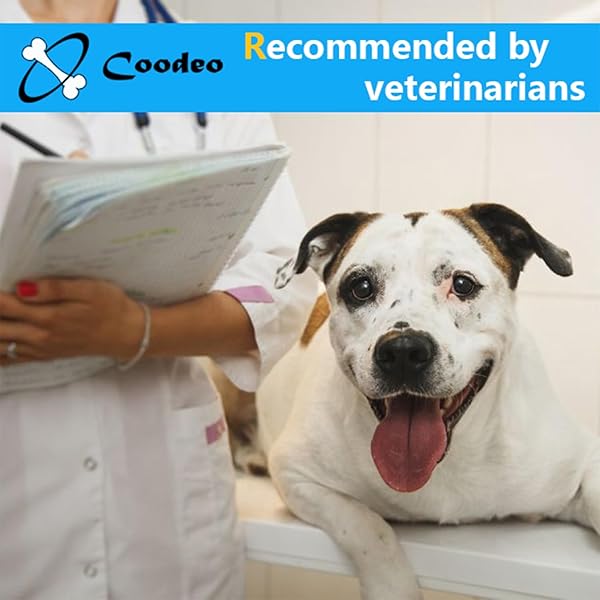 COODEO DOG BACK BRACE FOR DOGS ARTHRITIS, PET BACK BRACER FOR IVDD, BACK PROTECTOR HELPS PAIN RELIEF, SURGICAL RECOVERY AND REHABILITATION, DOGS BACK DISEASE PREVENTION. (BLACK,X-LARGE)