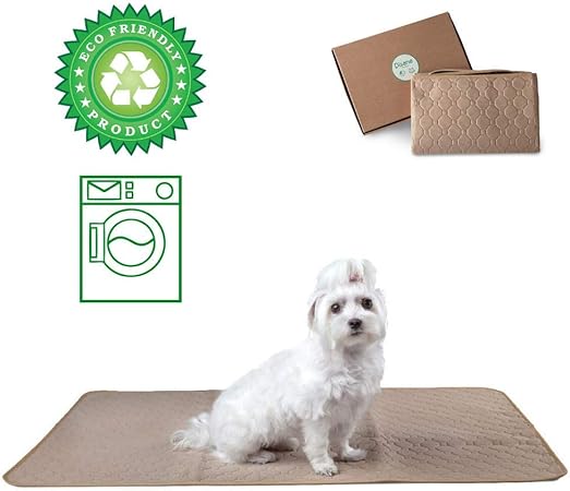 DISANE EMPAPADOR PERRO LAVABLE Y REUTILIZABLE 100 x 67cm BEIGE | Empapadores para perros y gatos lavables a máquina respetuosos con el medio ambiente | Entrenamiento Cachorros, Mascotas Convalecientes: Amazon.es: Productos para mascotas