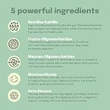 Buddy & Lola Super Pooper Bundle 100% Natural Pumpkin Powder Probiotics view 4