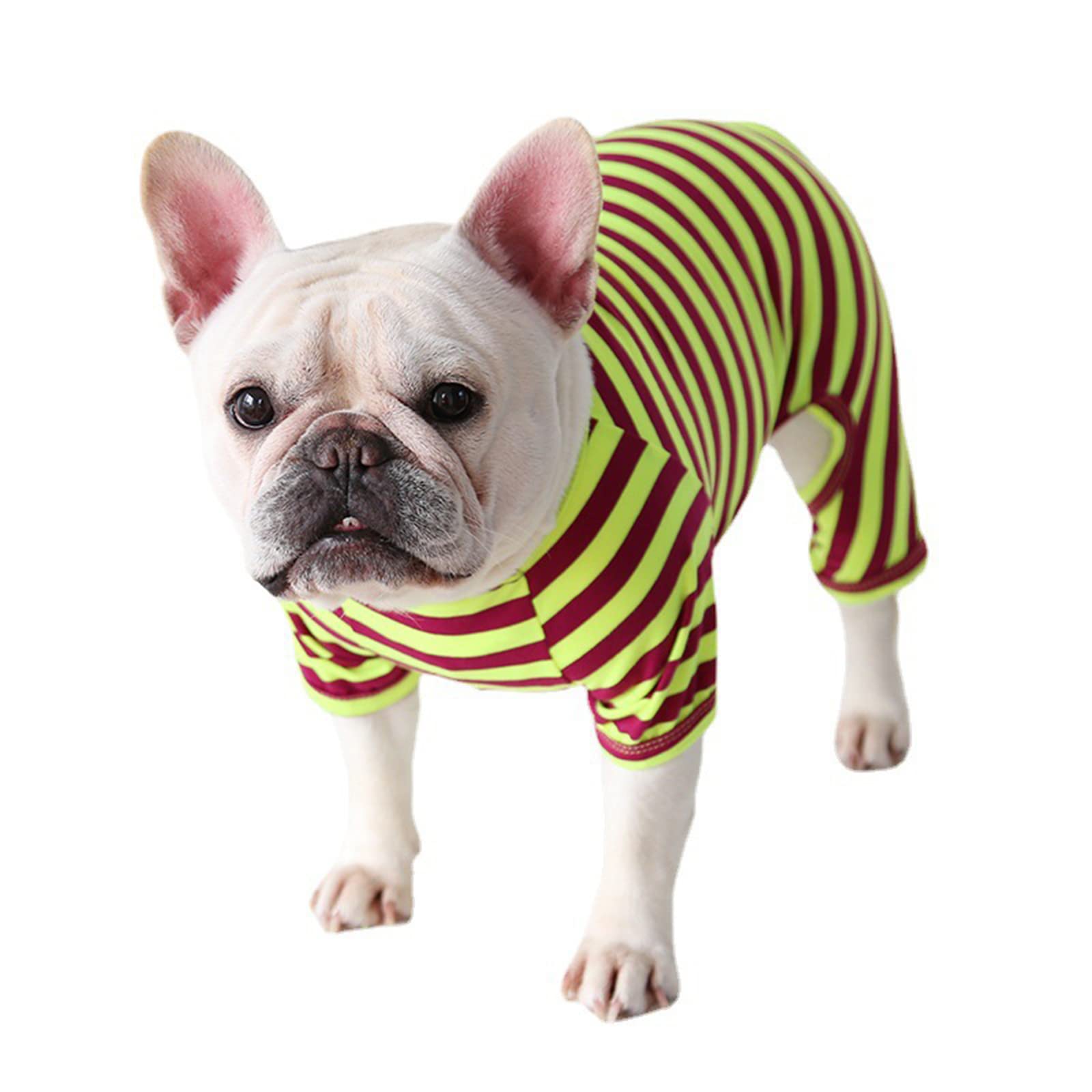 BT Bear Dog Clothes, Dog Colorful Stripe Pajamas Soft Cotton Jumpsuit Bulldog Onesies Costume for Puppy Small Dogs (XS,Green Purple)
