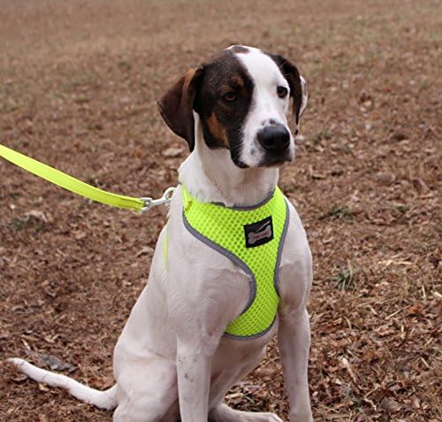 Reflective Adjustable Soft Mesh Pet Dog Harness With Leash …