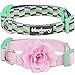 Blueberry Pet Pack of 2 Multiple Patterns Mix and Match Pretty Picks Adjustable Dog Collar with Detachable Pink Flower Accessory, Small, Neck 12