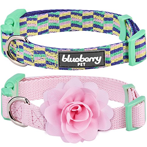 Blueberry Pet Pack of 2 Multiple Designs Mix and Match Pretty Picks Adjustable Dog Collar with Detachable Pink Flower Accessory, Small, Neck 12″-16″
