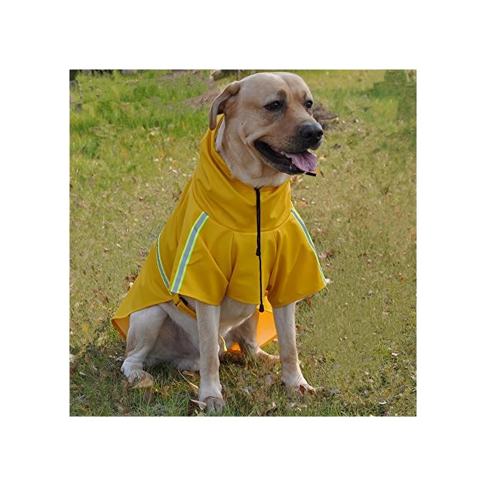 Buy JYHY Dog Raincoat Adjustable 