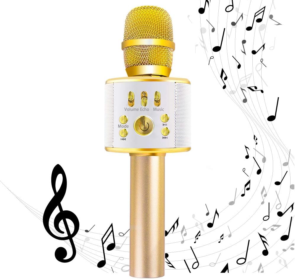 Diyomate Wireless Karaoke Microphone Handheld KTV Home Mic Singing Speaker Player Party Birthday Professional Microphones for iOS/Android （2600mAh）