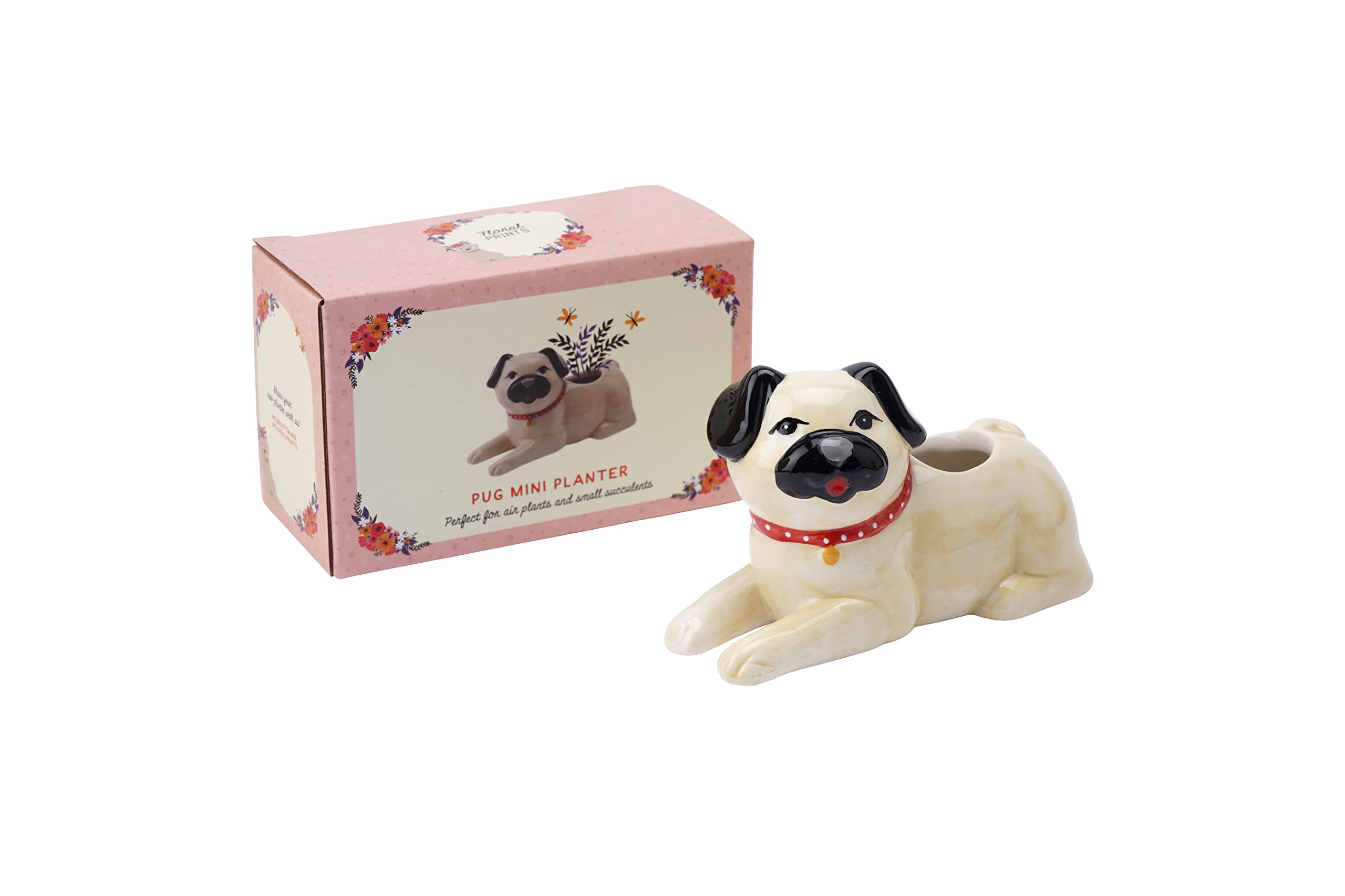 Pug Dog Mini Indoor Air Planter | Pets | Gift Box | Home Accessory | Floral Prints by CGB Giftware | GB06168
