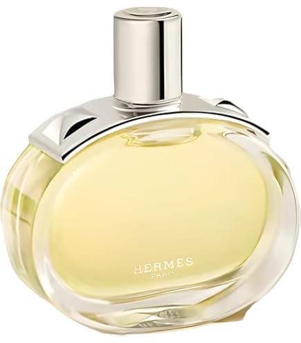 Amazon.com : Hermes 24 Faubourg Eau De Toilette Spray for Women