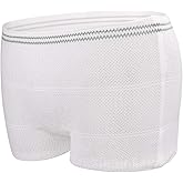 Mesh Underwear Postpartum 20 Counts Disposable Panties Carer Maternity or Incontinence Briefs Stretchy, Lightweight Large