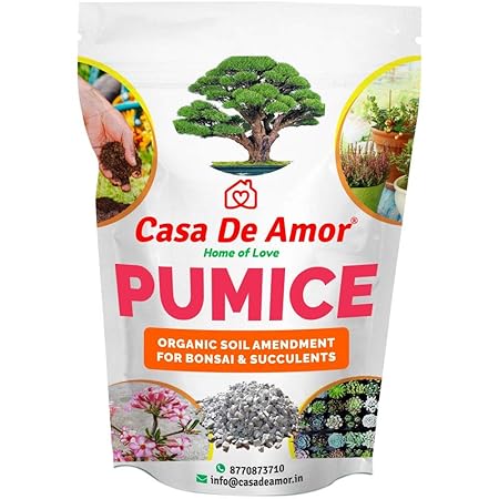 Casa De Amor Pumice Essential Soil Amendment for Bonsai & Succulents Plants (2 KG)