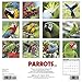 Parrots 2016 Calendar