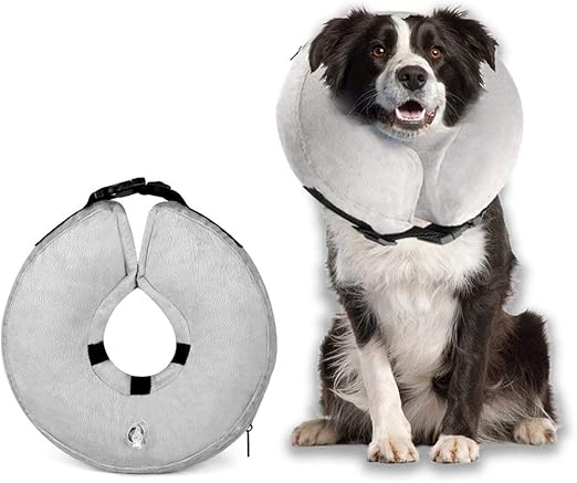 blow up dog collar amazon