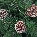 FunPa Pine Cones for Christmas Tree Decorations - 72Pcs Decorating Pinecones with Lanyard for Garland Thanksgiving Halloween Xmas Tree Ornaments
