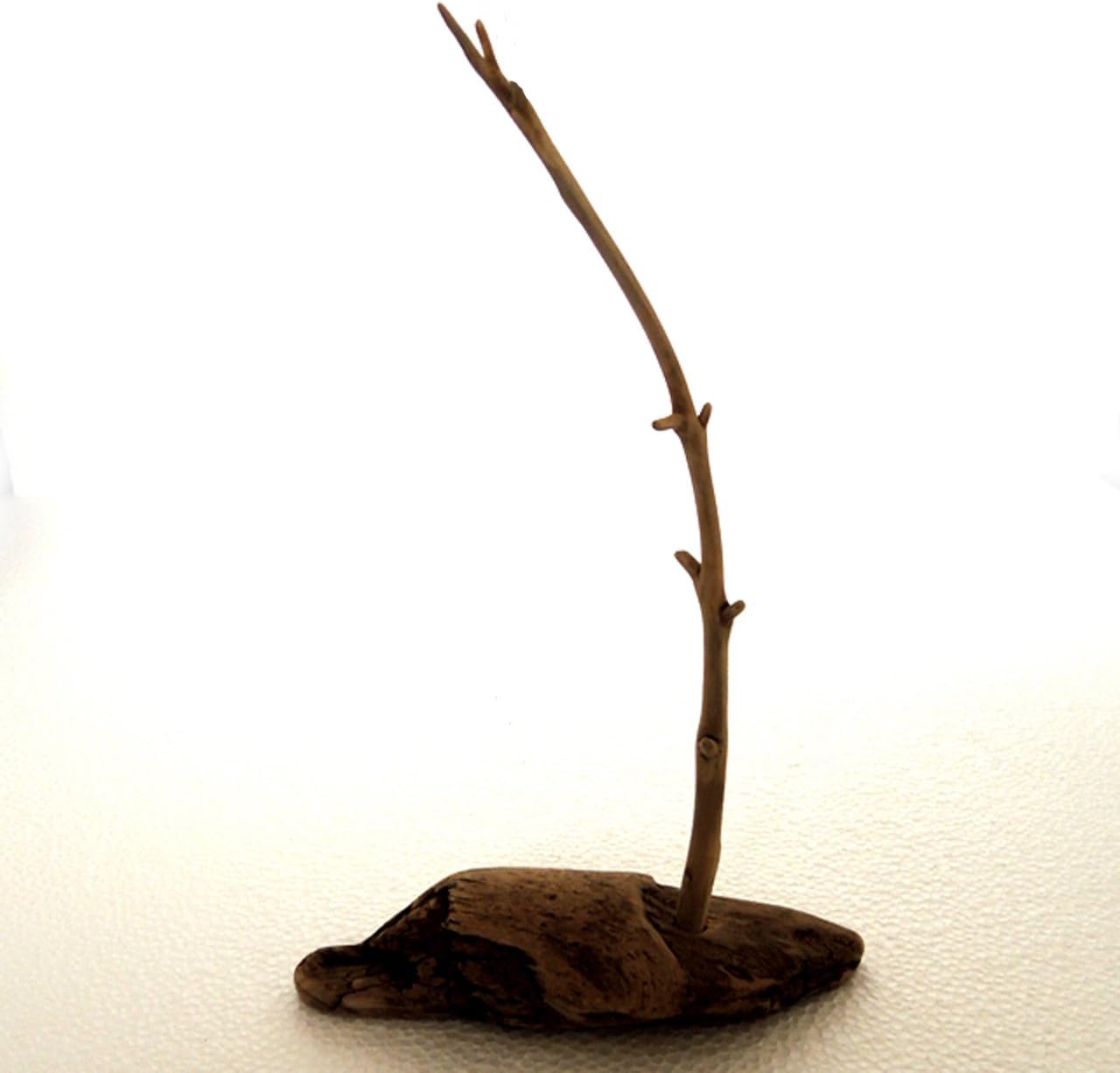Amazon 流木と流木 送料無料 一部除く 返金保証 流木アクセサリースタンド お洒落な一点もの流木 インテリア 雑貨 アート ディスプレイ 流木は長良川で採集 Ras 280s インテリア オンライン通販