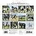 Gypsy Vanner Horse 2018 Calendar