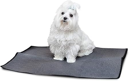 amazon empapadores perro