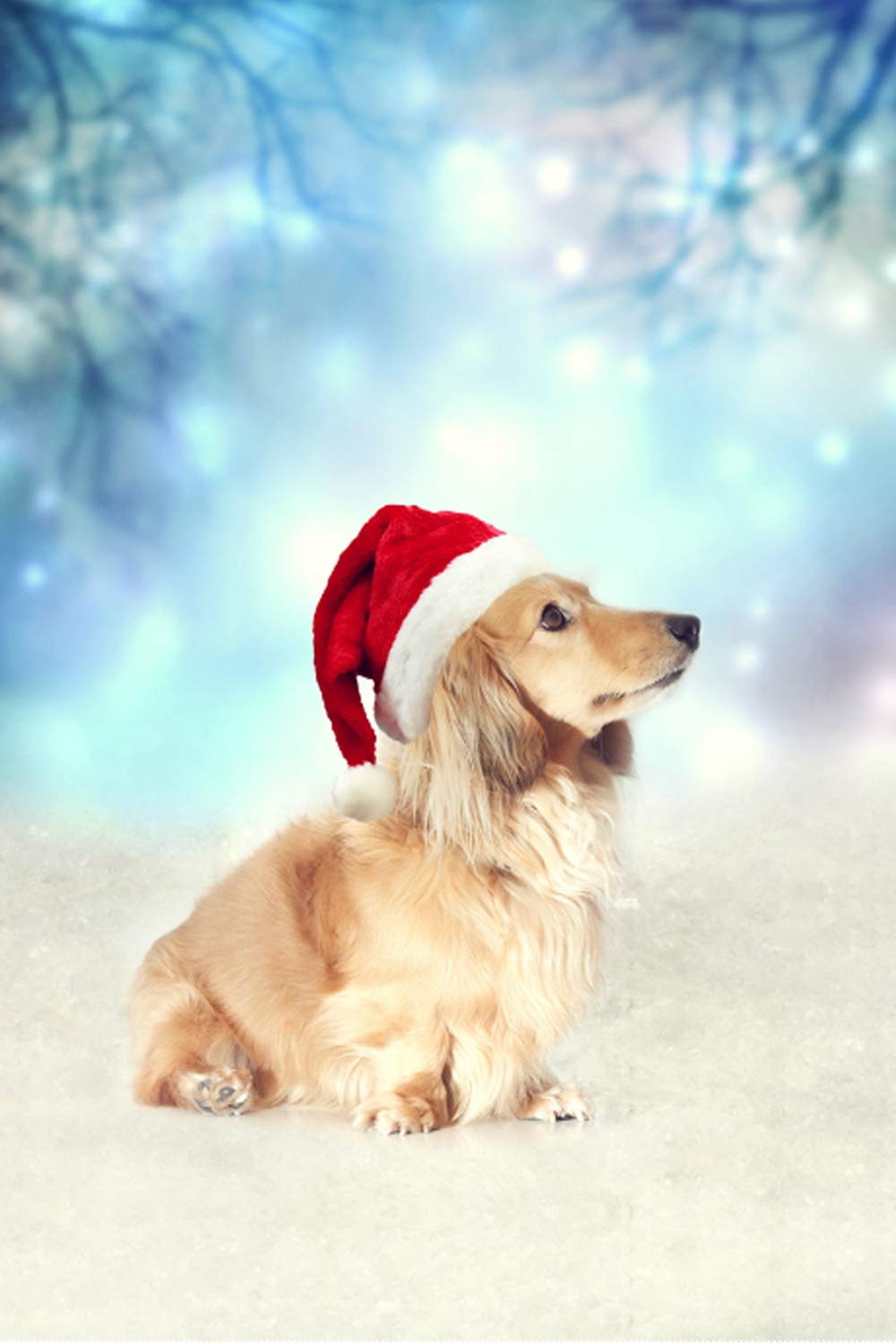 Best Dachshund Garden Flag