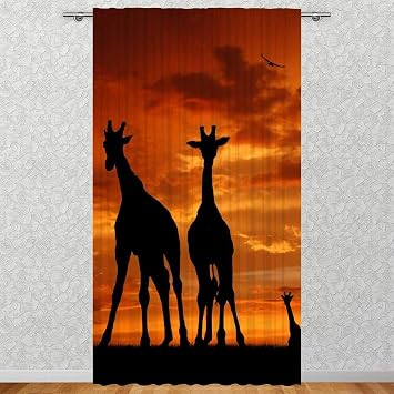 Amazon De Clever Kauf 24 Vorhang Gardine Afrika Giraffe Im