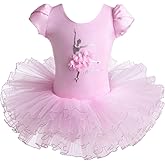 BAOHULU Leotard for Girls Ballet Dance Short Sleeve Full Tulle Tutu Skirted Dress Ballerina Costumes