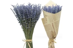 SEALANGERL Natural Dried Lavender Bundles - Freshly Harvested Lavender Bunch Royal Velvet Decorative Flowers Bouquet for Wedding DIY Home Party (Lavender-120g)