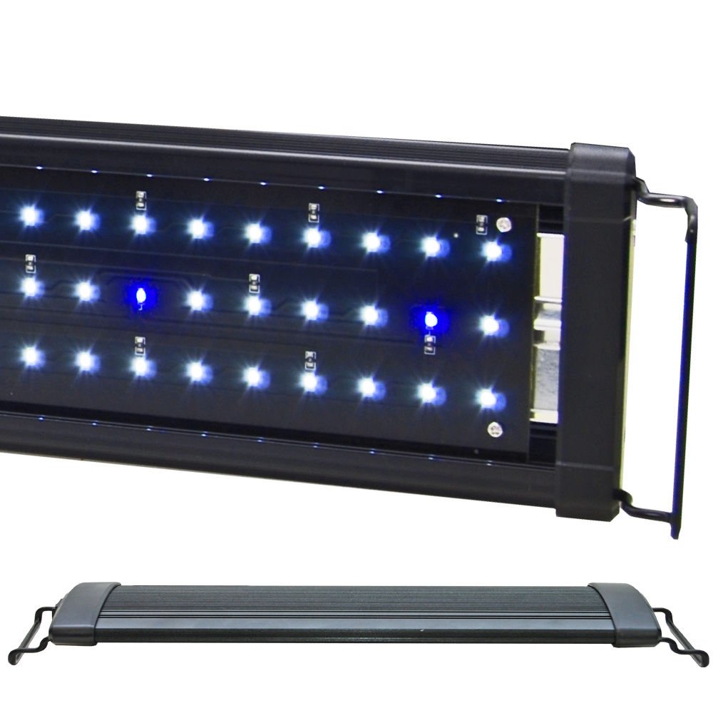 Best 48 Inch Aquarium Light for 55 Gallon Tank A Little Bit Fishy