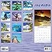 Summit Avalon 2017 Calendar 12 x 12 Wall Islands (86337)