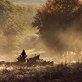 Image de Meditation (170121)