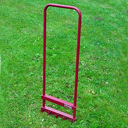 Recuperando el césped de mi jardín. | Página 2