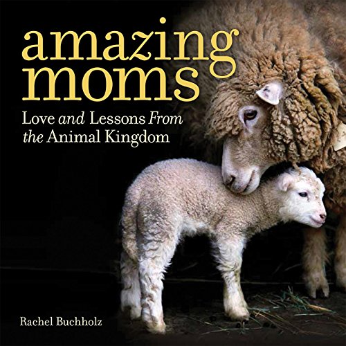 Amazing Moms: Love and Lessons From the Animal Kingdom (Best Moms In The Animal Kingdom)