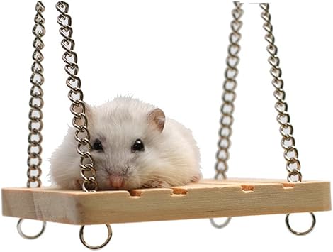 hamster on a swing