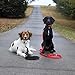 Dog Leash for Medium, Large and Small Dogs - 6 Foot Dog Leashes for Training and Daily Walks - Durable Sizes in Lightweight and Heavy Duty for Small and Large Breeds (2-Layer Reflective, Red)