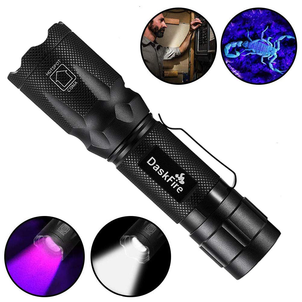 2 in 1 Blacklight Flashlights with Handheld Torch, UV 395nm Black Light as Urine Stain Detector Scorpion Bed Bug Inspection, Ultra Bright White LED High Lumen Rechargeable Zoomable for Camping Cycling