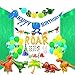 ReignDrop Dinosaur Birthday Party Supplies and Decorations for Kids, 116 Pieces, Banners, Pom Poms, Giant Dino Balloons, Hat, Tattoos, Palm Leaves, Cupcake Toppers, Backdrops, Easy To Set Up, All Inclusive Decor Pack