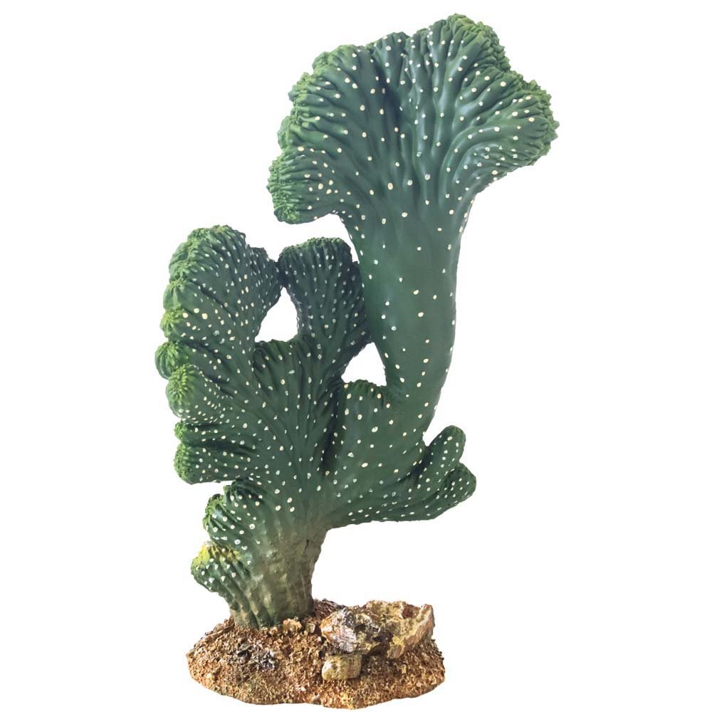 Hobby Victoria 2 37020 Cactus Figurine Height 22 cm