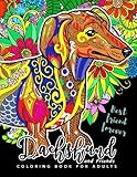 Dachshund coloring book for Adults and Friend: Dog coloring book for dog and puppy lover by Adult Coloring Books, Unicorn Coloring