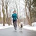 Kurgo Black 2.0 Quantum Dog Leash, 6 ft.