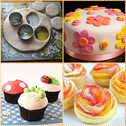 ProTocol Stainless Metal Round Cookie Biscuit Cutter Mousse Dessert Cake Rings Circle DIY Mold for Kitchen Baking Halloween Easter & Christmas (12 pcs)