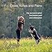Optima Pets Organic Cat and Dog Hemp Oil - Improves Health, Provides Hip and Joint Pain Relief, and Reduces Inflammation - Natural Cat and Dog Anxiety Relief - Colorado Grown and Manufactured