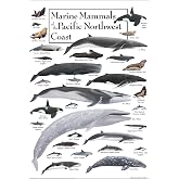 Earth Sky + Water - Marine Mammals of the Pacific Northwest Coast - Poster