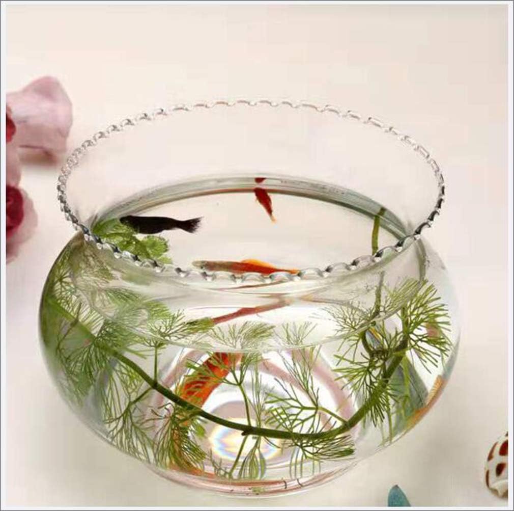 Tanerdd Transparent Round Cylinder Hydroponic Tank Vase Round