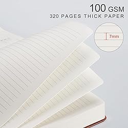 EMSHOI Meeting Notebook for Work with Action Items
