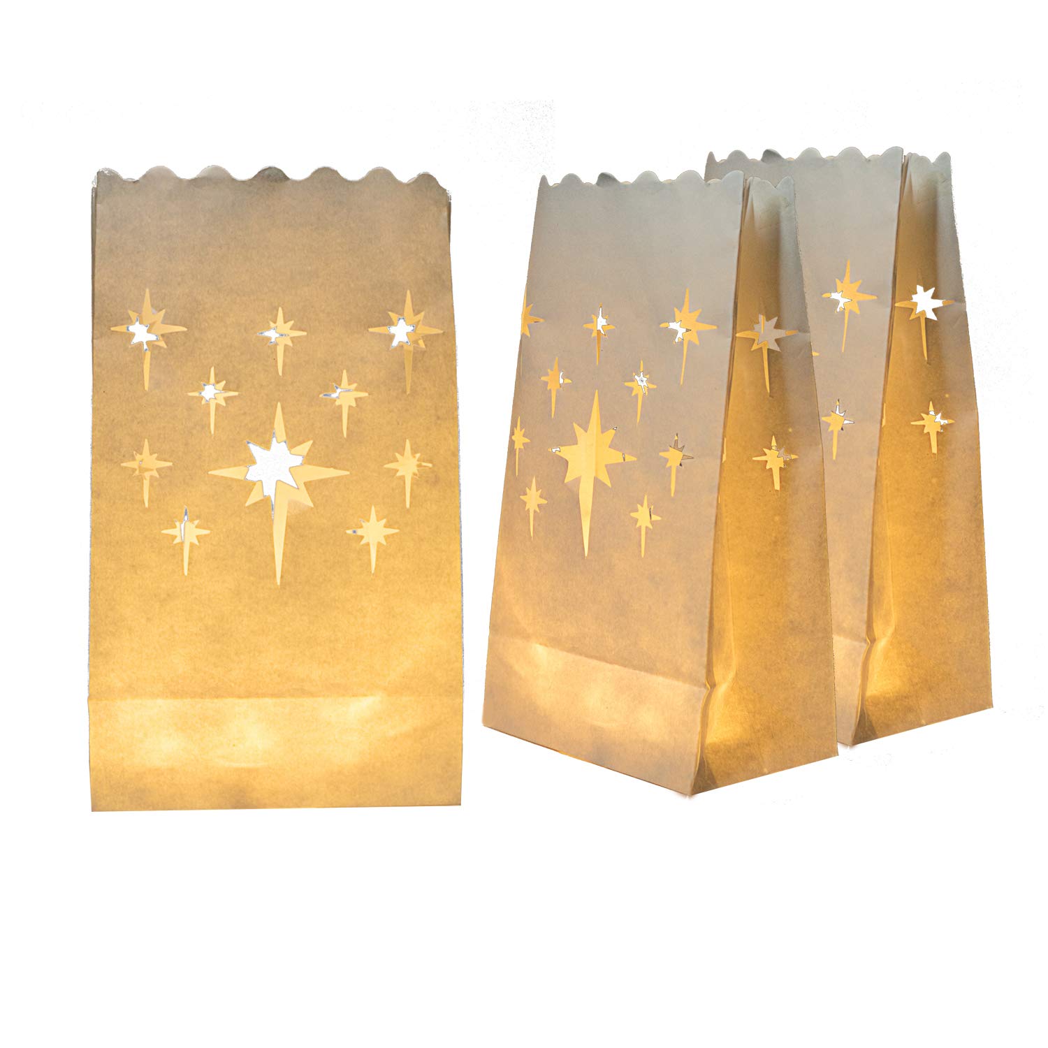 Luminary Wax Bags at Corinne Gibbs blog