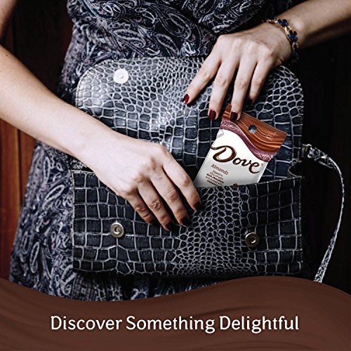 DOVE Almonds With Cinnamon and Dark Chocolate Candy 1.6Ounce Pouch (10