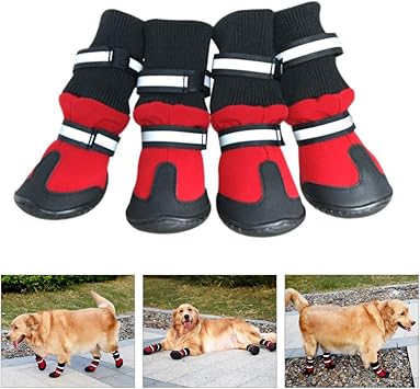 dogs playing poker art