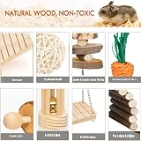 BBjinronjy Hamster Chew Toys Set Wooden Molar Tools for Small Rodents view 5